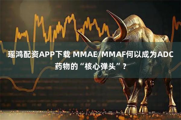 瑶鸿配资APP下载 MMAE/MMAF何以成为ADC药物的“核心弹头”？